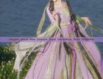 The Splendid Two-Piece Hanfu:A Journey into Traditional Chinese Elegance