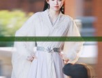 Hanfu Hairpins and Accessories:Embracing Traditional Elegance