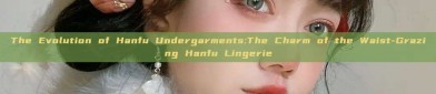 The Evolution of Hanfu Undergarments:The Charm of the Waist-Grazing Hanfu Lingerie