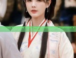 Womens Ming-Style Hanfu Shoes:A Journey into Traditional Elegance