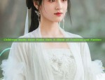 The Rise of Hanfu Mouxiong:Traditional Chinese Beauty in Modern Context