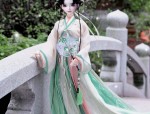 The Plum Blossom and the Fall of Hanfu:A Tale of Traditional Beauty and Cultural Heritage