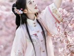 The Peripheries of Hanfu:Exploring the World of Traditional Chinese Fashion Accessories