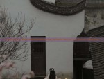 The Enigma of a Martial Arts Warrior in Hanfu Elegance