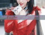 The Rise of Wu Meilang:Embracing the Splendor of Hanfu Fashion in the Wind-Blown Skirt
