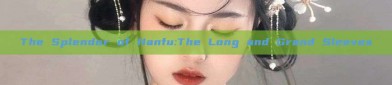 The Splendor of Hanfu:The Long and Grand Sleeves