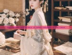 The Peach Blossom Chronicle:A Journey into the World of Hanfu Fashion