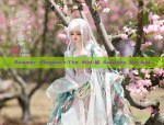 Summer Elegance:The Mid-袖 Quipaos Revival