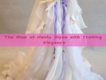 The Rise of Ancient Chinese Cultural Revival:The Allure of Hanfu in Modern Social Groups