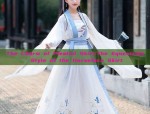 Dragon and Phoenix:The Unique Story of a Twin Set in Traditional Hanfu Fashion