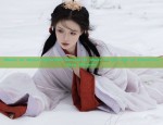 Bloom to Bloom Again:The Revival of Hanfu in the Age of Flower-Falling Records