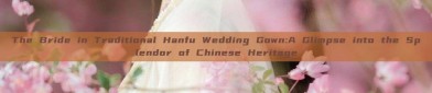 The Bride in Traditional Hanfu Wedding Gown:A Glimpse into the Splendor of Chinese Heritage