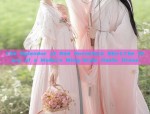 The Splendor of Red Horseface Skirt:The Story of a Modern Ming-Style Hanfu Dress