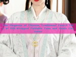 The Splendor of Hanfu Robes:The 12-Year-Olds Journey into the World of Big-袖衫