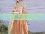 Cloud Knowledge Moon Original Traditional Chinese Style Hanfu Fashion
