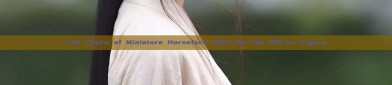 The Charm of Miniature Horseface Skirt for the 140-cm Figure