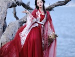 Winter Hostess Robes for Hanfu Events:Design and Considerations