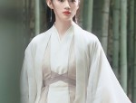 The Round-necked Robe of Hanfu:Ming Dynasty Style