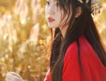 Elegant and Enchanting Hanfu:The Splendor of Traditional Chinese Clothing