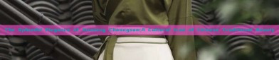 The Splendid Elegance of Xiuniang Cheongsam:A Cultural Icon of Chinese Traditional Beauty