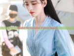 The Retro Charm of Short-Style Cheongsam with Reverse-Large Sleeves