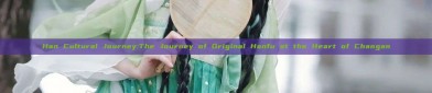 Han Cultural Journey:The Journey of Original Hanfu at the Heart of Changan