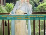 Ancient Hair Ornaments and the Evolution of Traditional Hanfu Fashion