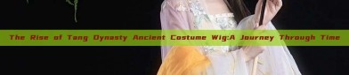 The Rise of Tang Dynasty Ancient Costume Wig:A Journey Through Time