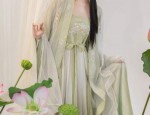 Ancient Footwear of Hanfu:Exploring the Traditional Shoe Culture of Chinese Antiquity