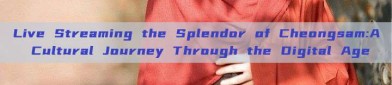 Live Streaming the Splendor of Cheongsam:A Cultural Journey Through the Digital Age