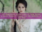 The Enchanting Art of Traditional Chinese Hanfu Headwear:The Immortal Map Pattern