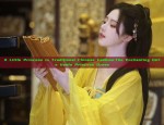 Qiyueji Hanfu:Exploring the Essence of Traditional Chinese Fashion in July