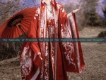 New Chinese Style Light Traditional Nationalistic Cheongsam Skirt with Horseface Pattern for Winter