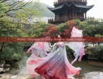 Winter Elegance in Song Dynasty Hanfu Fashion