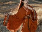 Golden Silk Velvet Cheongsam:Unveiling a Brand Icon