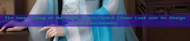 The Inner Lining of the Hanfu Chest-Cloth:A Closer Look into its Design and Functionality