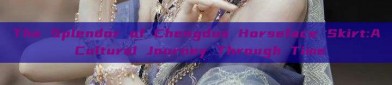 The Splendor of Chengdus Horseface Skirt:A Cultural Journey Through Time