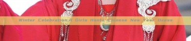Winter Celebration:A Girls Hanfu Chinese New Year Dress