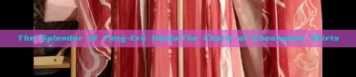 The Splendor of Tang-Era Hanfu:The Charm of Cheongsam Skirts