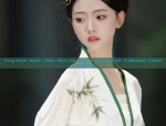 Spring and Autumn Elegance:The Song Dynasty Hanfu Fashion