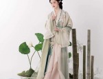 Flying with the Phoenix:The Splendor of Hanfu Robes with Trailing Splashes