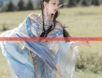 The Splendor of Pink Hanfu in Tang Style:A Journey into Traditional Chinese Elegance