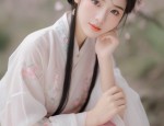 The Plum Blossom and the Fall of Hanfu:A Tale of Traditional Beauty and Cultural Heritage