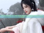 The Enchantment of a Red Hanfu Woman:Embracing the Adult Chinese Style