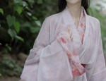 Winter Fashion for Adult Women in Hanfu Traditional Chinese Clothing