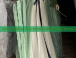 The Elegance of a Hanfu Fan-Wearing Woman