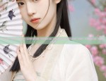 The Splendor of Hanfu:A Girls Tang-Style Traditional Chinese Attire