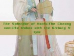 The Splendor of Hanfu:The Cheongsam-like Robes with the Qixiong Style