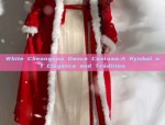 Ancient Style Girls Traditional Chinese Hanfu Costumes:A Journey into the World of Ancient Elegance
