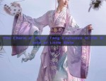 One-and-a-Half-Year-Old Girl in Traditional Chinese Hanfu Fashion